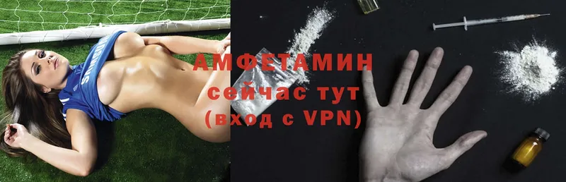 где купить   Емва  Amphetamine 98% 