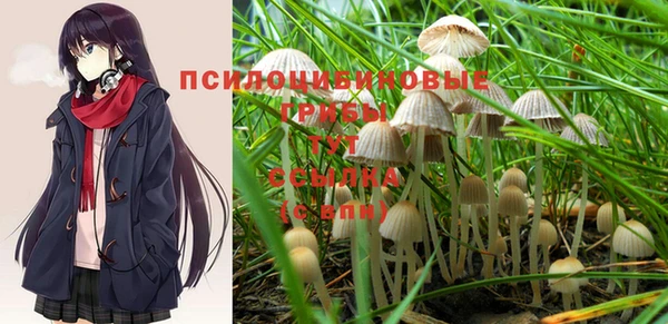 ешки Мегион