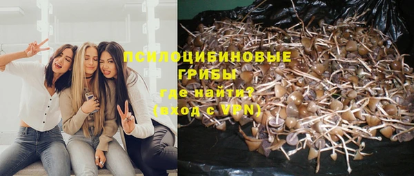 СК Медвежьегорск