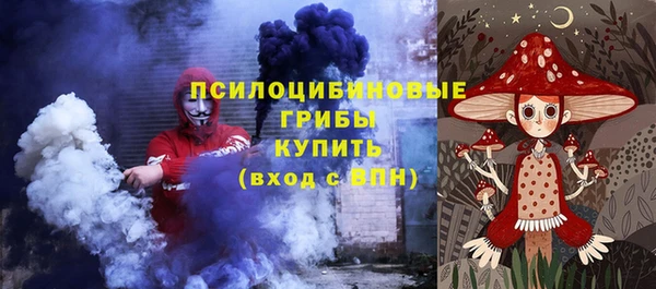 ешки Мегион