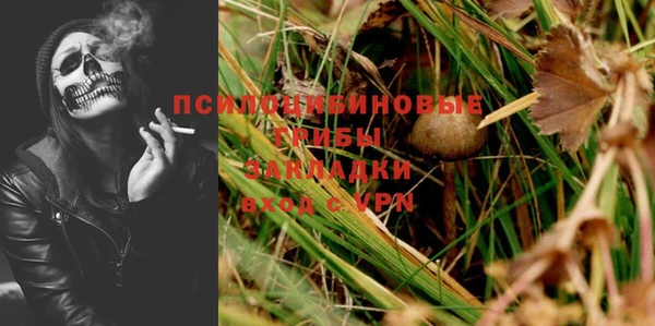 ешки Мегион