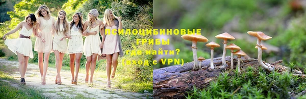 СК Медвежьегорск