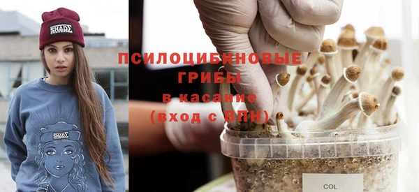 ешки Мегион